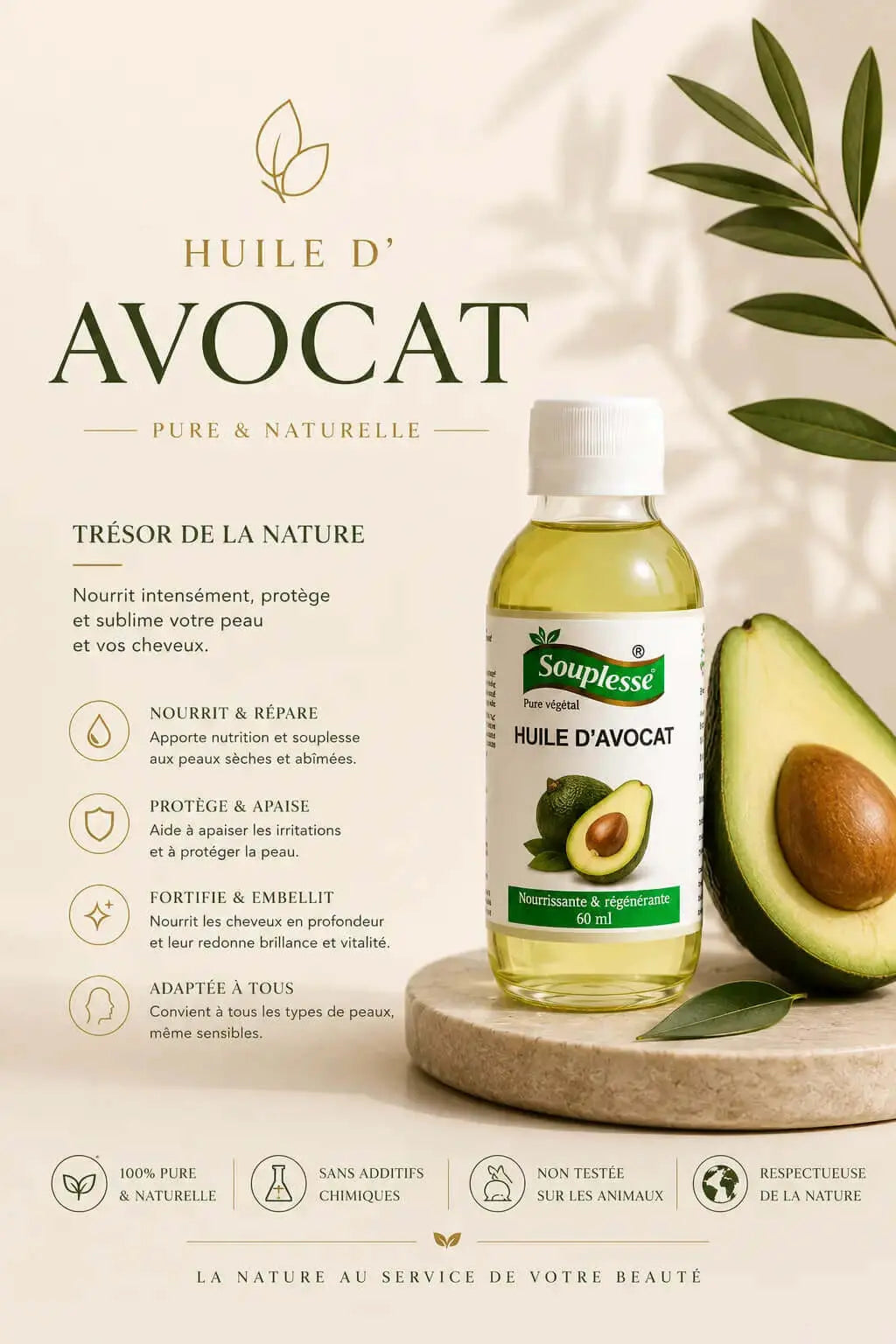Huile-d-avocat Evecthor